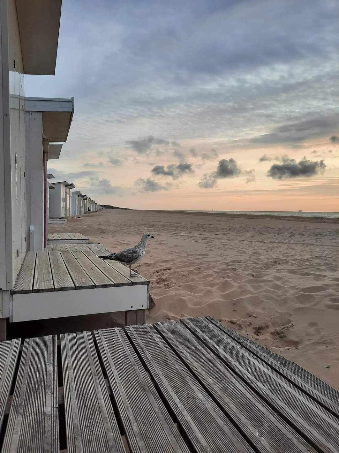 Calais Plage-Gare Appartement Elegant Tout Equipe ภายนอก รูปภาพ